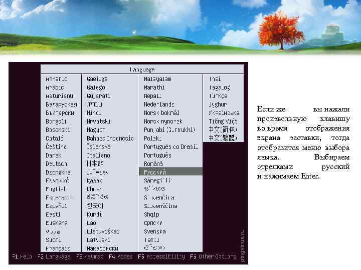 Если же вы нажали произвольную клавишу во время отображения экрана заставки, тогда отобразится меню