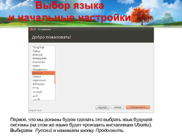 Выбор языка и начальные настройки Первое, что мы должны будем сделать это выбрать язык