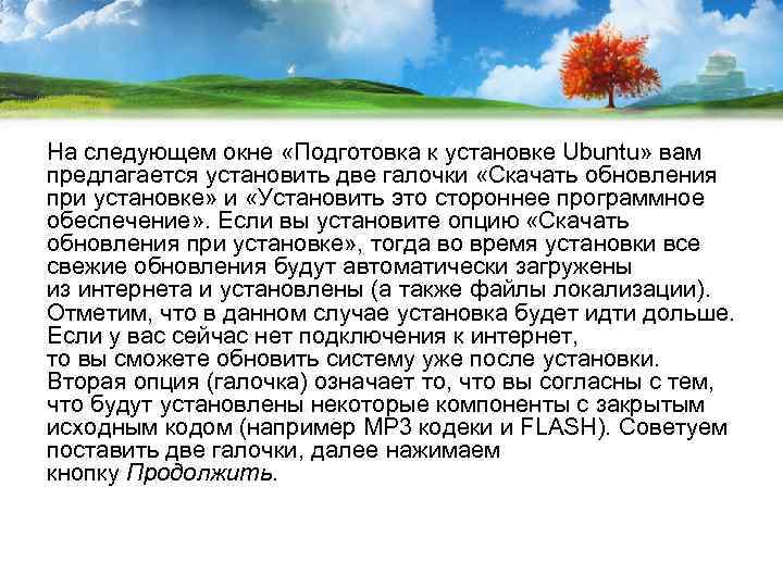 На следующем окне «Подготовка к установке Ubuntu» вам предлагается установить две галочки «Скачать обновления