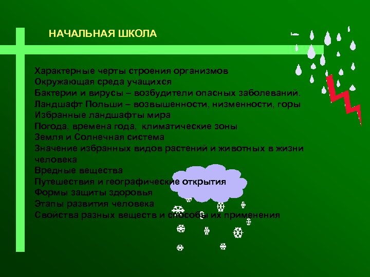 НАЧАЛЬНАЯ ШКОЛА Характерные черты строения организмов Окружающая среда учащихся Бактерии и вирусы – возбудители