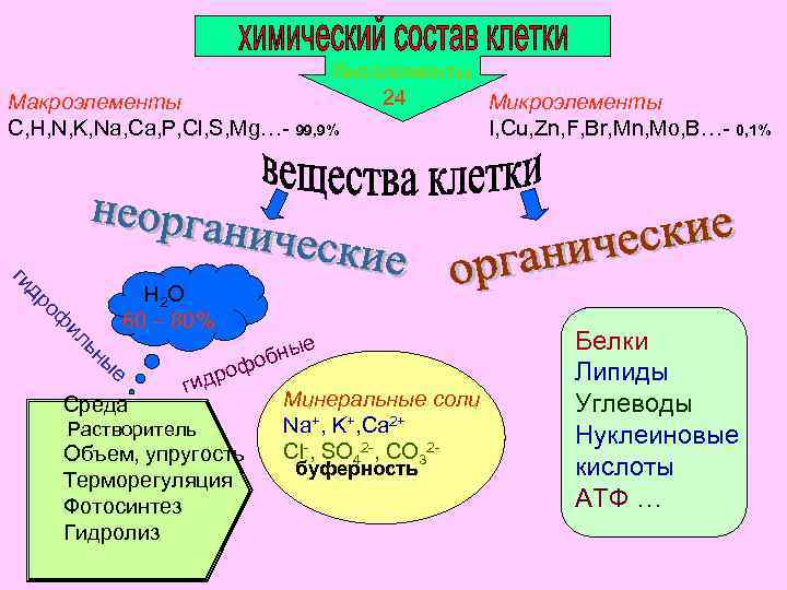 биоэлементы 24 Макроэлементы Микроэлементы C, H, N, K, Na, Ca, P, Cl, S, Mg…-