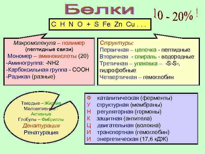 C H N O + S Fe Zn Cu. . . Макромолекула – полимер