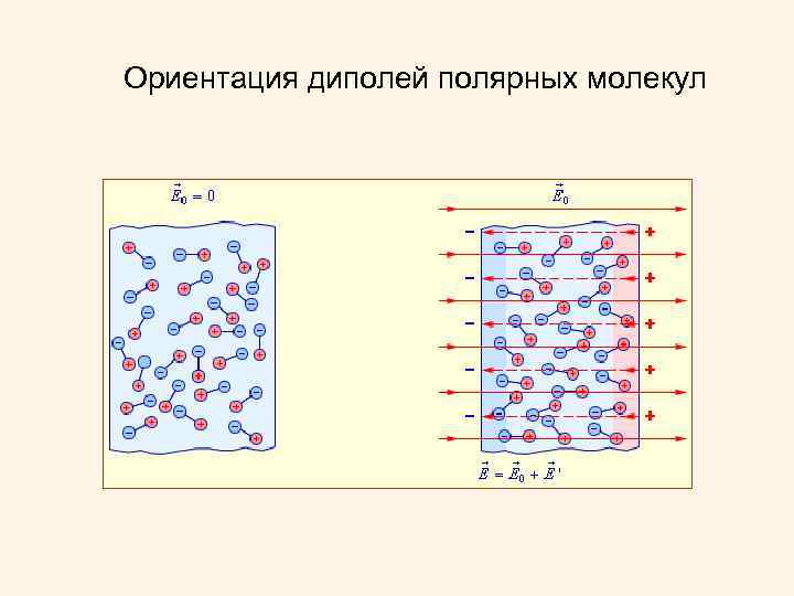 Какие молекулы полярны. Полярные и неполярные молекулы в электрическом поле.. Диэлектрики с полярными и неполярными молекулами. Полярные и неполярные диэлектрики в электрическом поле. Полярные молекулы в электрическом поле.