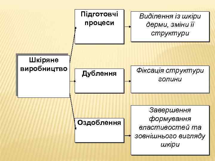 Підготовчі процеси Шкіряне виробництво Виділення із шкіри дерми, зміни її структури Дублення Фіксація структури