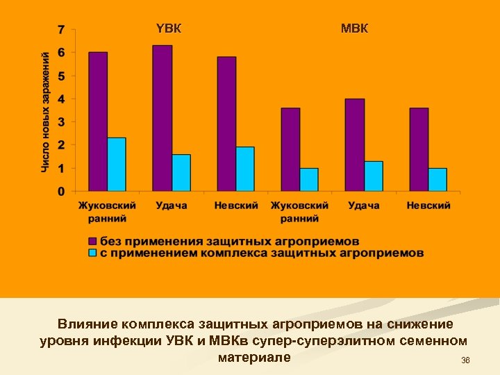 YВК МВК Влияние комплекса защитных агроприемов на снижение уровня инфекции УВК и МВКв супер-суперэлитном