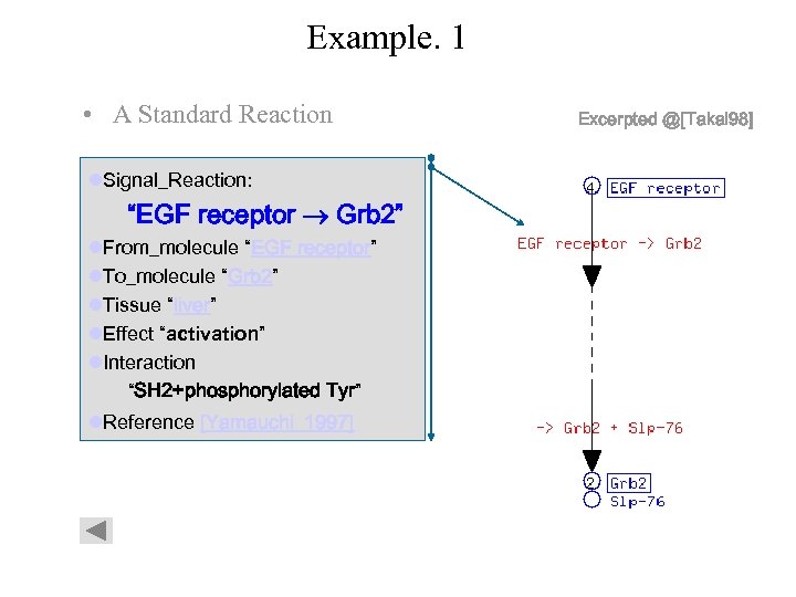 Example. 1 • A Standard Reaction l. Signal_Reaction: “EGF receptor Grb 2” l. From_molecule