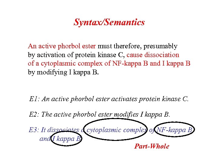 Syntax/Semantics An active phorbol ester must therefore, presumably by activation of protein kinase C,