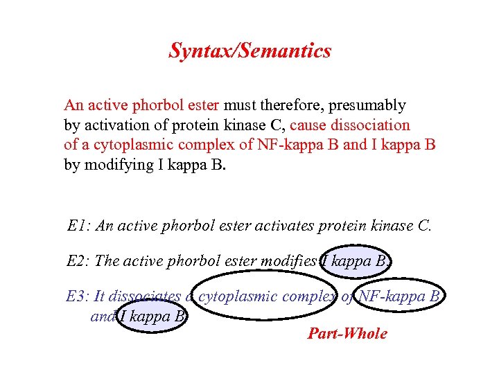 Syntax/Semantics An active phorbol ester must therefore, presumably by activation of protein kinase C,