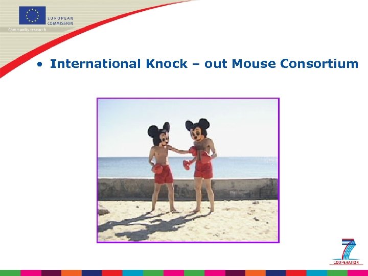  • International Knock – out Mouse Consortium 