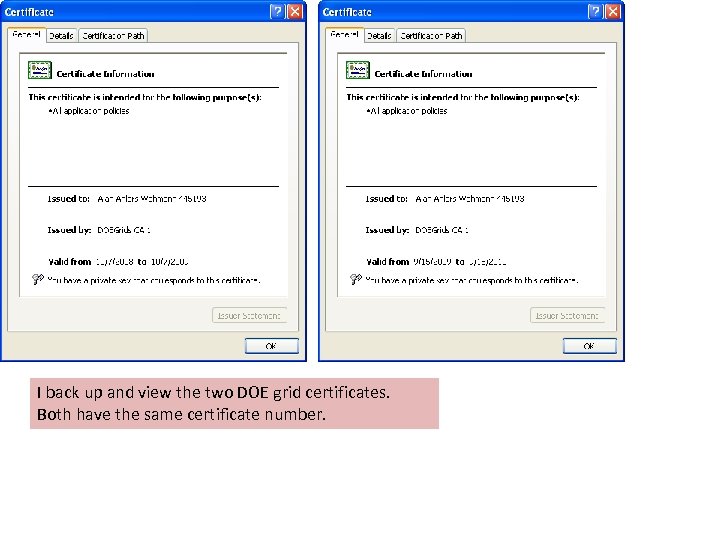 I back up and view the two DOE grid certificates. Both have the same