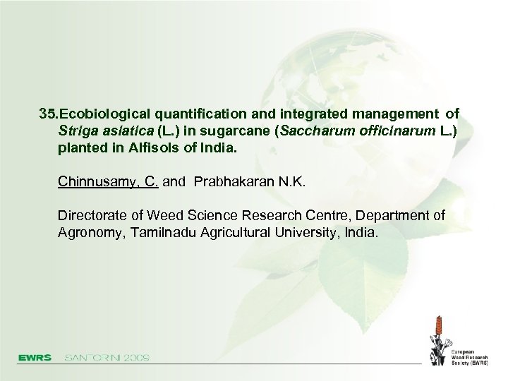 35. Ecobiological quantification and integrated management of Striga asiatica (L. ) in sugarcane (Saccharum