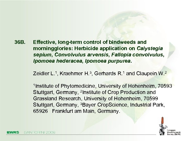 36 B. Effective, long-term control of bindweeds and morningglories: Herbicide application on Calystegia sepium,