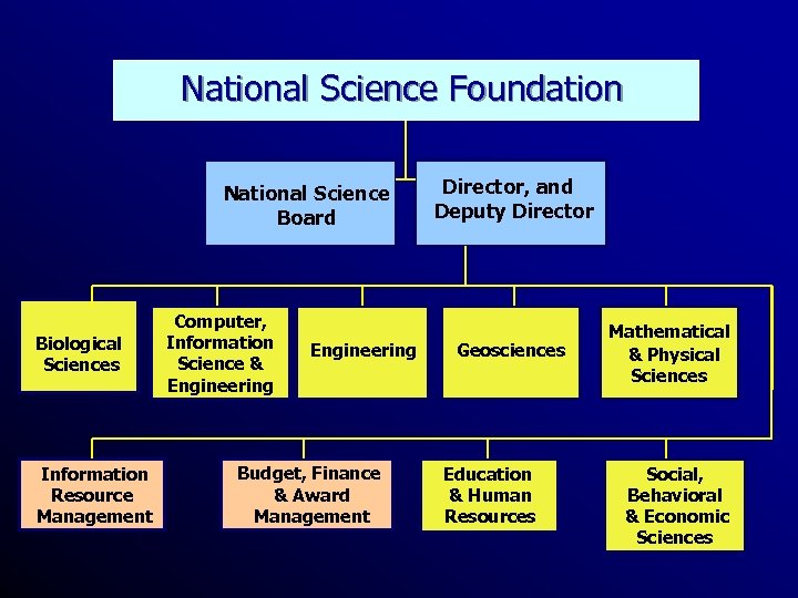 National Science Foundation National Science Board Biological Sciences Information Resource Management Computer, Information Science