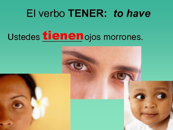 El verbo TENER: to have tienen Ustedes ____ ojos morrones. 