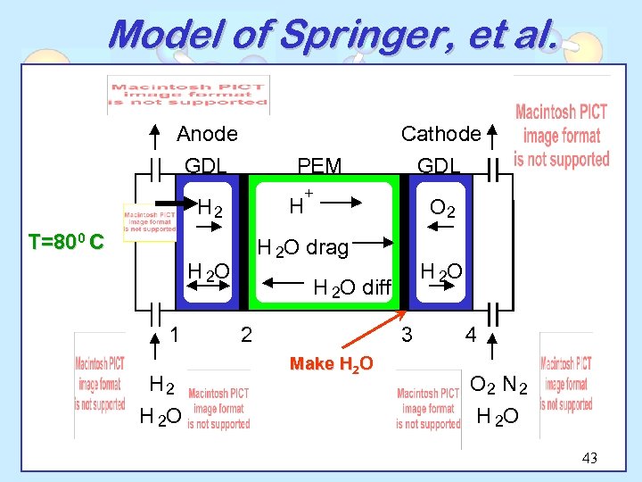 Model of Springer, et al. Anode GDL PEM + H H 2 T=800 C