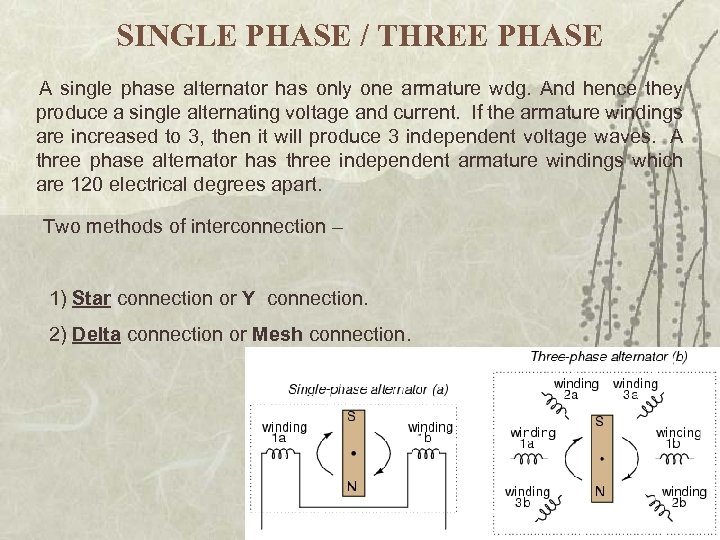 SINGLE PHASE / THREE PHASE A single phase alternator has only one armature wdg.