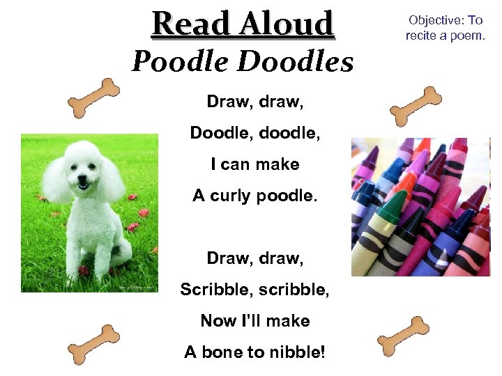 Read Aloud Poodle Doodles Draw, draw, Doodle, doodle, I can make A curly poodle.