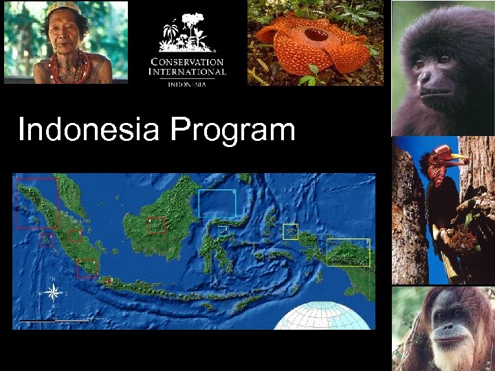 Indonesia Program 