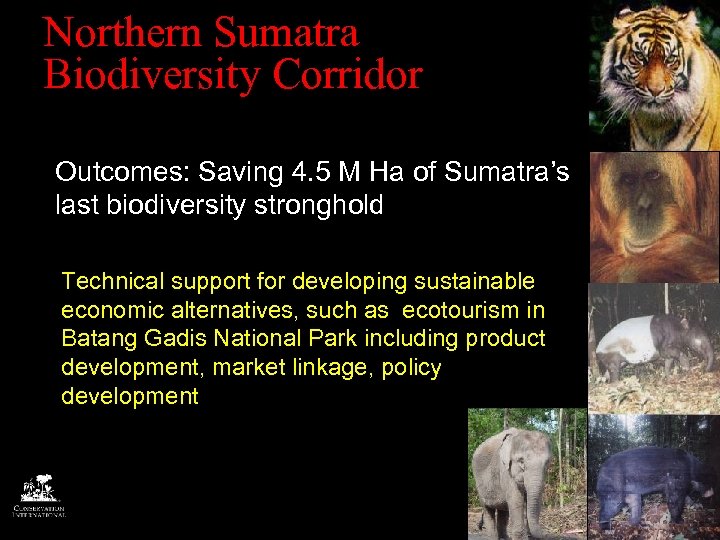 Northern Sumatra Biodiversity Corridor Outcomes: Saving 4. 5 M Ha of Sumatra’s last biodiversity