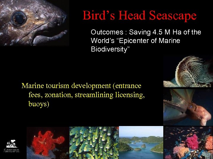Bird’s Head Seascape Outcomes : Saving 4. 5 M Ha of the World’s “Epicenter