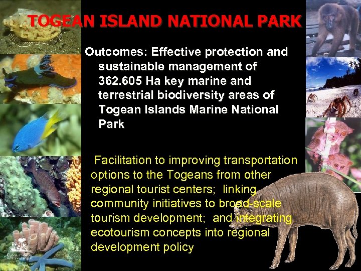 TOGEAN ISLAND NATIONAL PARK Outcomes: Effective protection and sustainable management of 362. 605 Ha