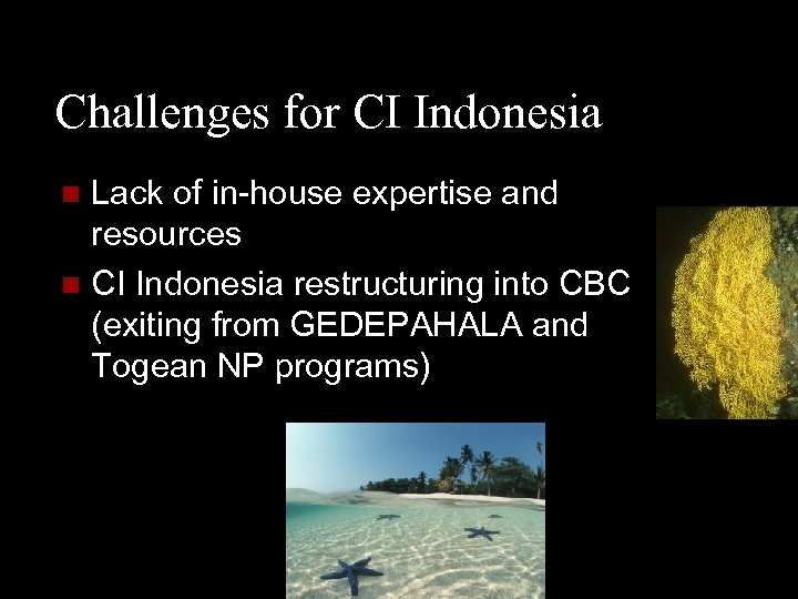 Challenges for CI Indonesia Lack of in-house expertise and resources n CI Indonesia restructuring
