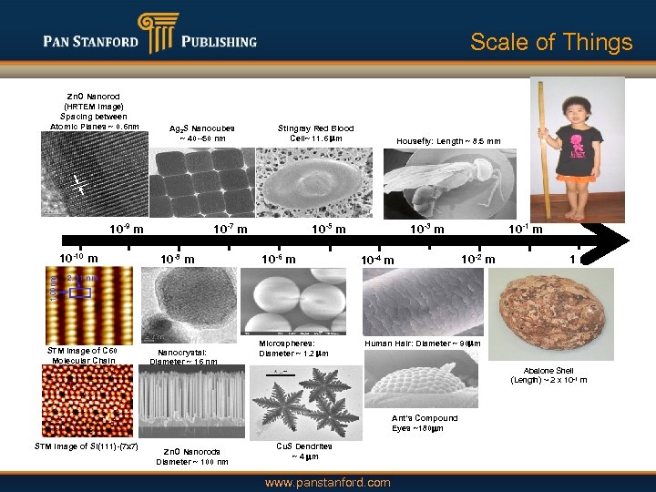 Scale of Things Zn. O Nanorod (HRTEM image) Spacing between Atomic Planes ~ 0.