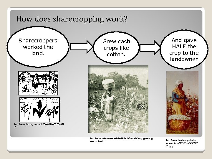 How does sharecropping work? Sharecroppers worked the land. Grew cash crops like cotton. And