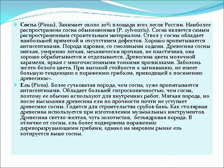 Ø Сосна (Pinus). Занимает около 20% площади всех лесов России. Наиболее распространена сосна обыкновенная
