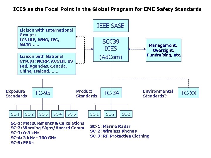 ICES as the Focal Point in the Global Program for EME Safety Standards IEEE