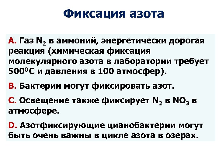 Способны к фиксации атмосферного азота