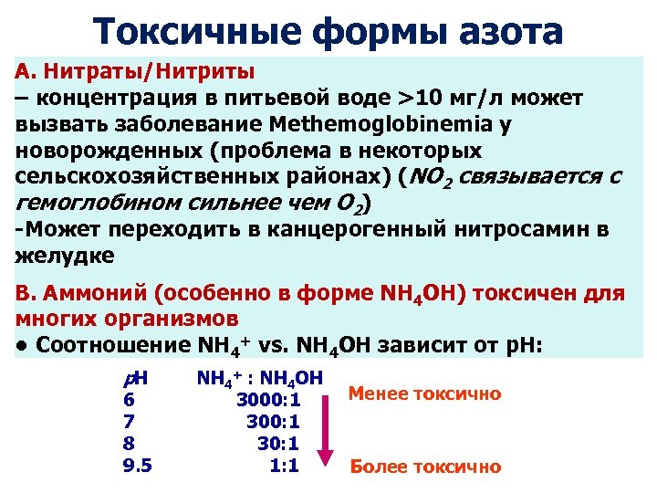 Повышенное количество нитратов в воде вызывает. Норма содержания нитратов в питьевой воде. Токсиколого-гигиеническая оценка нитратов в воде. Содержание нитратов в воде норма. Показатель нитраты в питьевой воде.