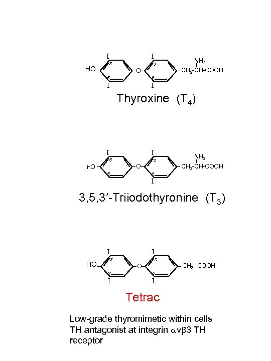 I - I 3’ HO 3 CH 2 -CH-COOH O 5’ NH 2 5