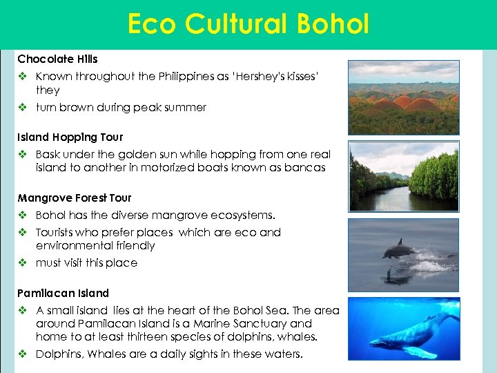 Eco Cultural Bohol Chocolate Hills v Known throughout the Philippines as ‘Hershey's kisses’ they