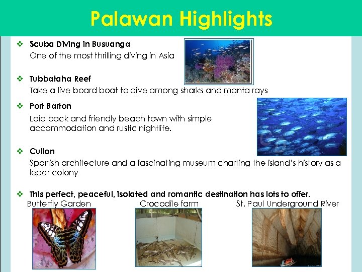 Palawan Highlights v Scuba Diving in Busuanga One of the most thrilling diving in