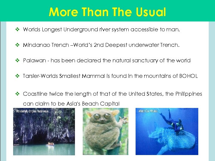 More Than The Usual v Worlds Longest Underground river system accessible to man. v