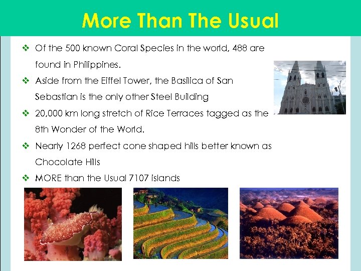 More Than The Usual v Of the 500 known Coral Species in the world,