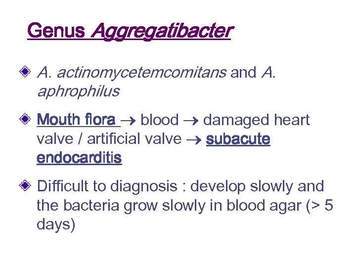 Genus Aggregatibacter A. actinomycetemcomitans and A. aphrophilus Mouth flora blood damaged heart valve /