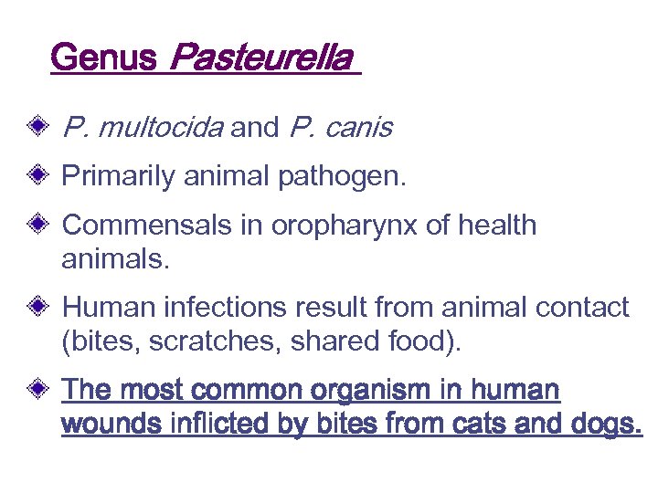 Genus Pasteurella P. multocida and P. canis Primarily animal pathogen. Commensals in oropharynx of