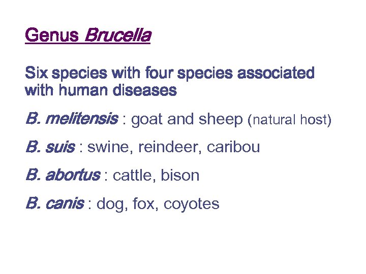 Genus Brucella Six species with four species associated with human diseases B. melitensis :