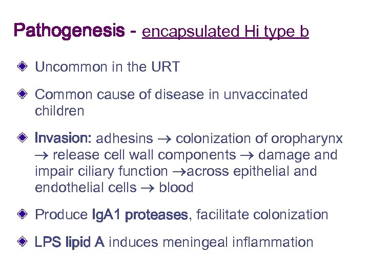 Pathogenesis - encapsulated Hi type b Uncommon in the URT Common cause of disease