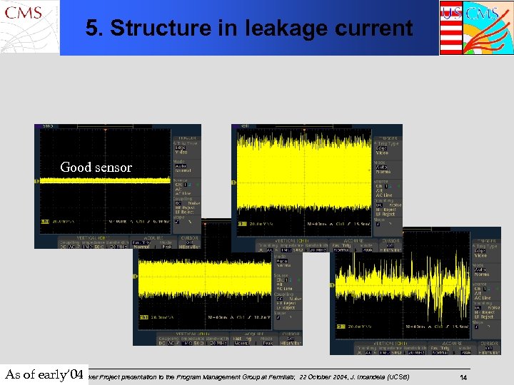 5. Structure in leakage current Good sensor As of early‘ 04 Project presentation to