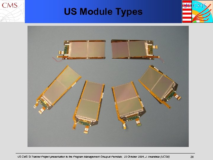 US Module Types US CMS Si Tracker Project presentation to the Program Management Group