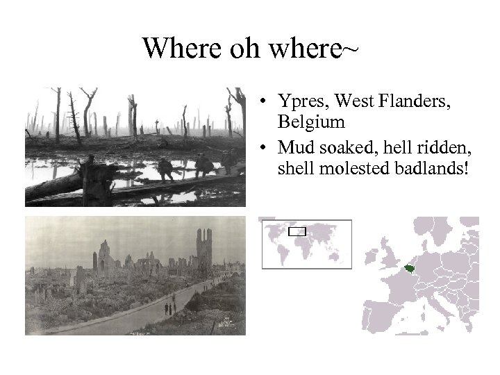 Where oh where~ • Ypres, West Flanders, Belgium • Mud soaked, hell ridden, shell