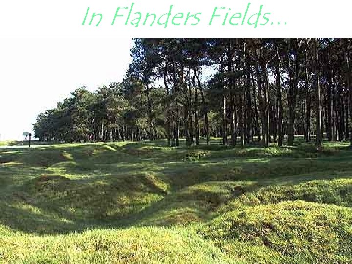 In Flanders Fields. . . 