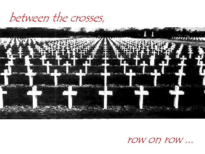 between the crosses, row on row. . . 