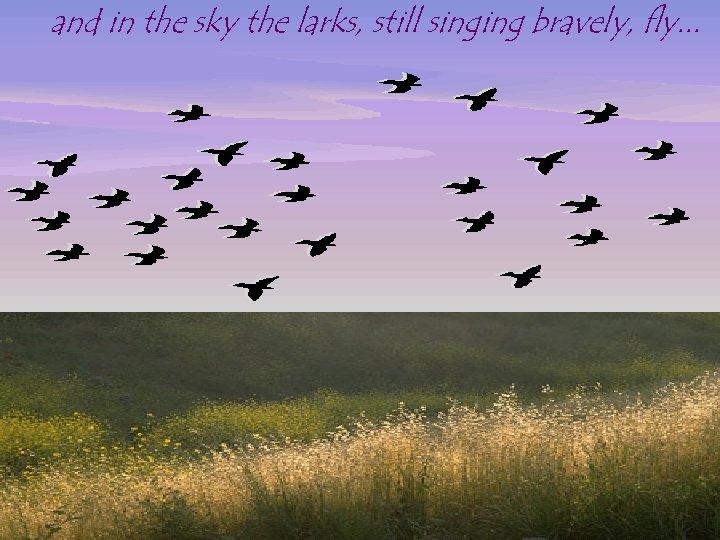 and in the sky the larks, still singing bravely, fly. . . 