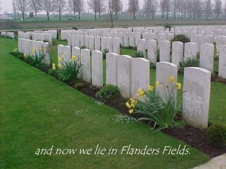 and now we lie in Flanders Fields. 