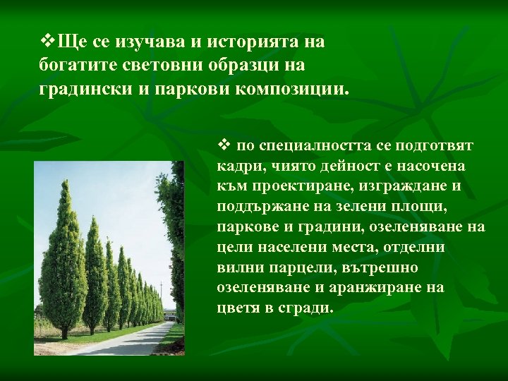 v. Ще се изучава и историята на богатите световни образци на градински и паркови