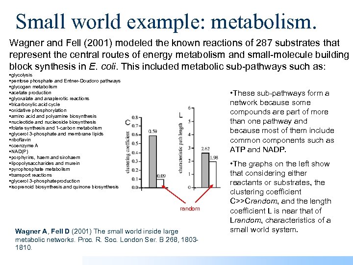 Small world example: metabolism. Wagner and Fell (2001) modeled the known reactions of 287